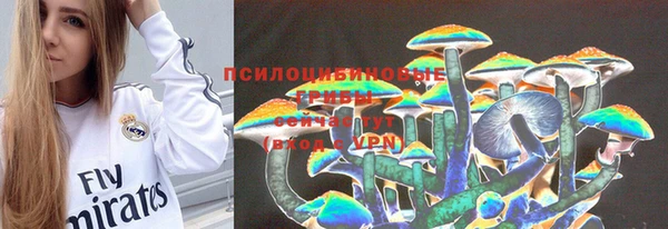 МДПВ Аркадак