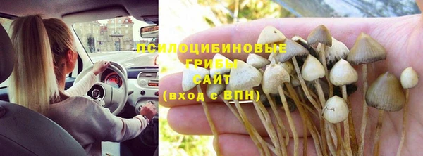 мяу мяу кристалл Арсеньев