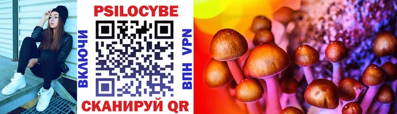 Псилоцибиновые грибы Psilocybe  Сортавала 